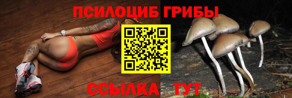 Дюртюли  Псилоцибиновые грибы Cubensis  Вход с VPN  Галлюциногенные грибы Cubensis 